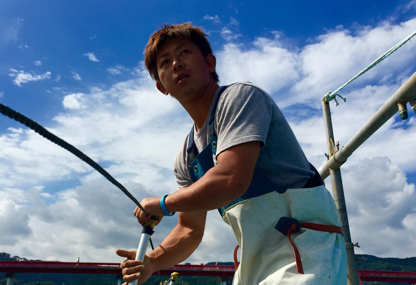 相澤太さんの漁師直送海苔セット
